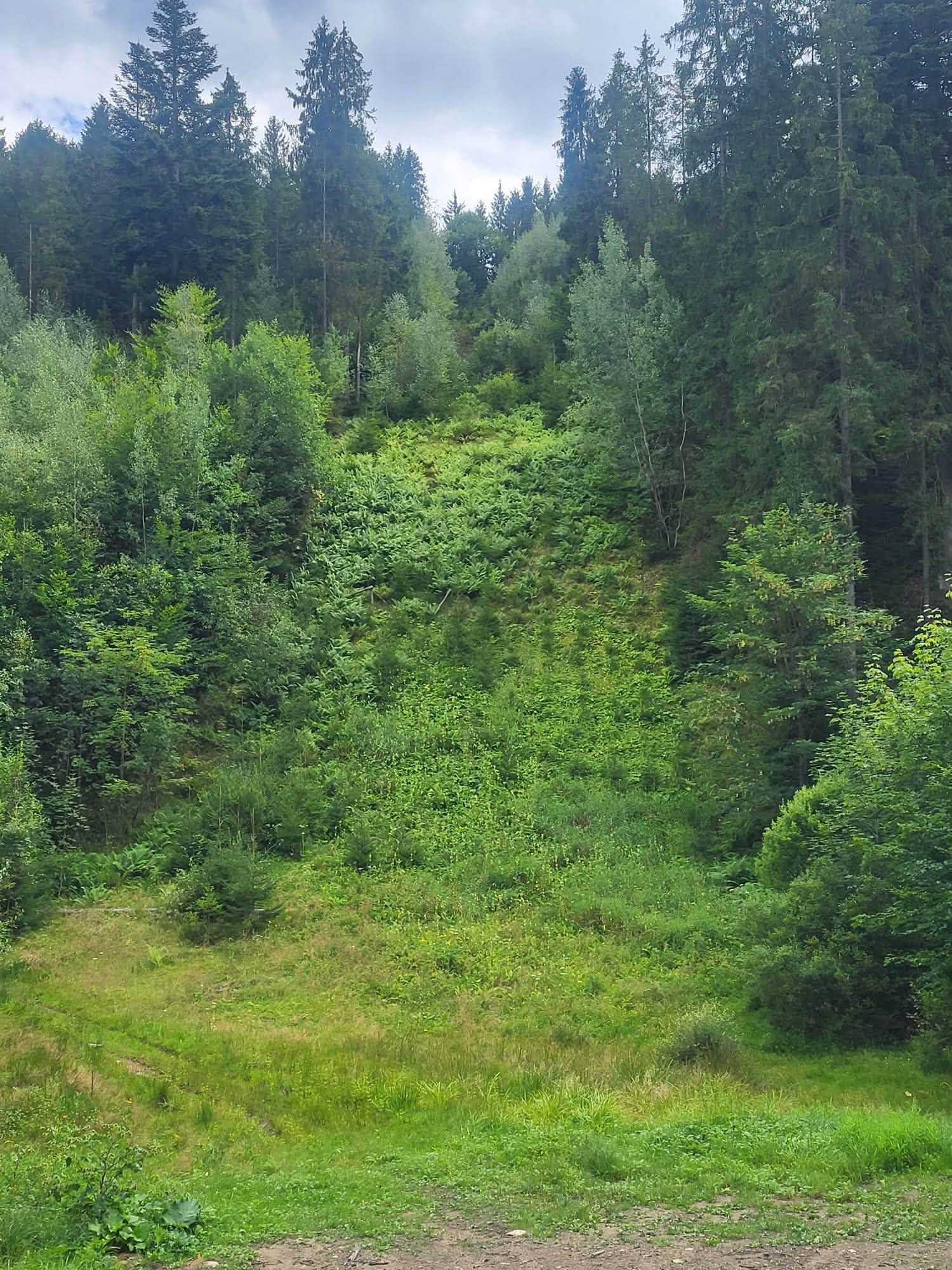Odkrywcy Wiślańskich Tajemnic – zdjęcie 17